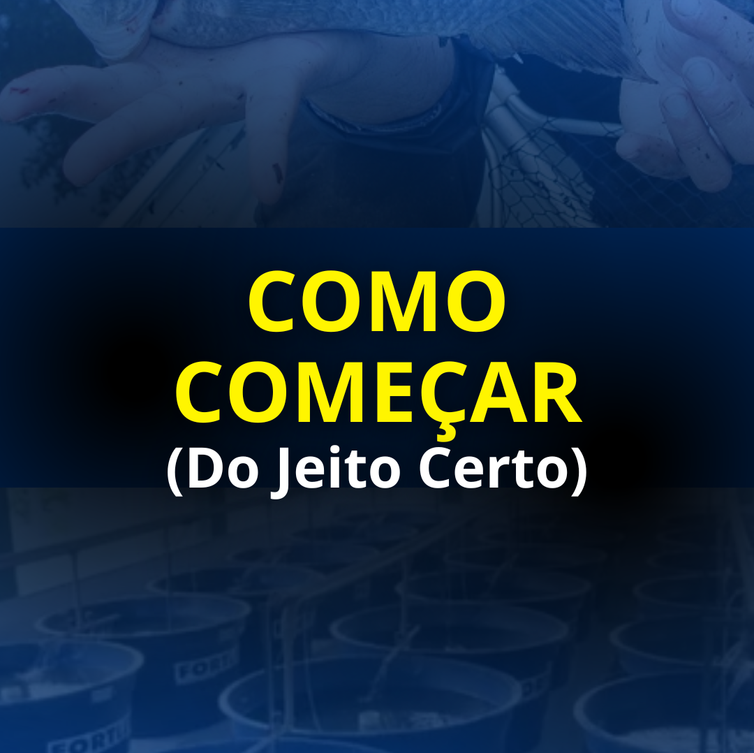 Módulo 1
