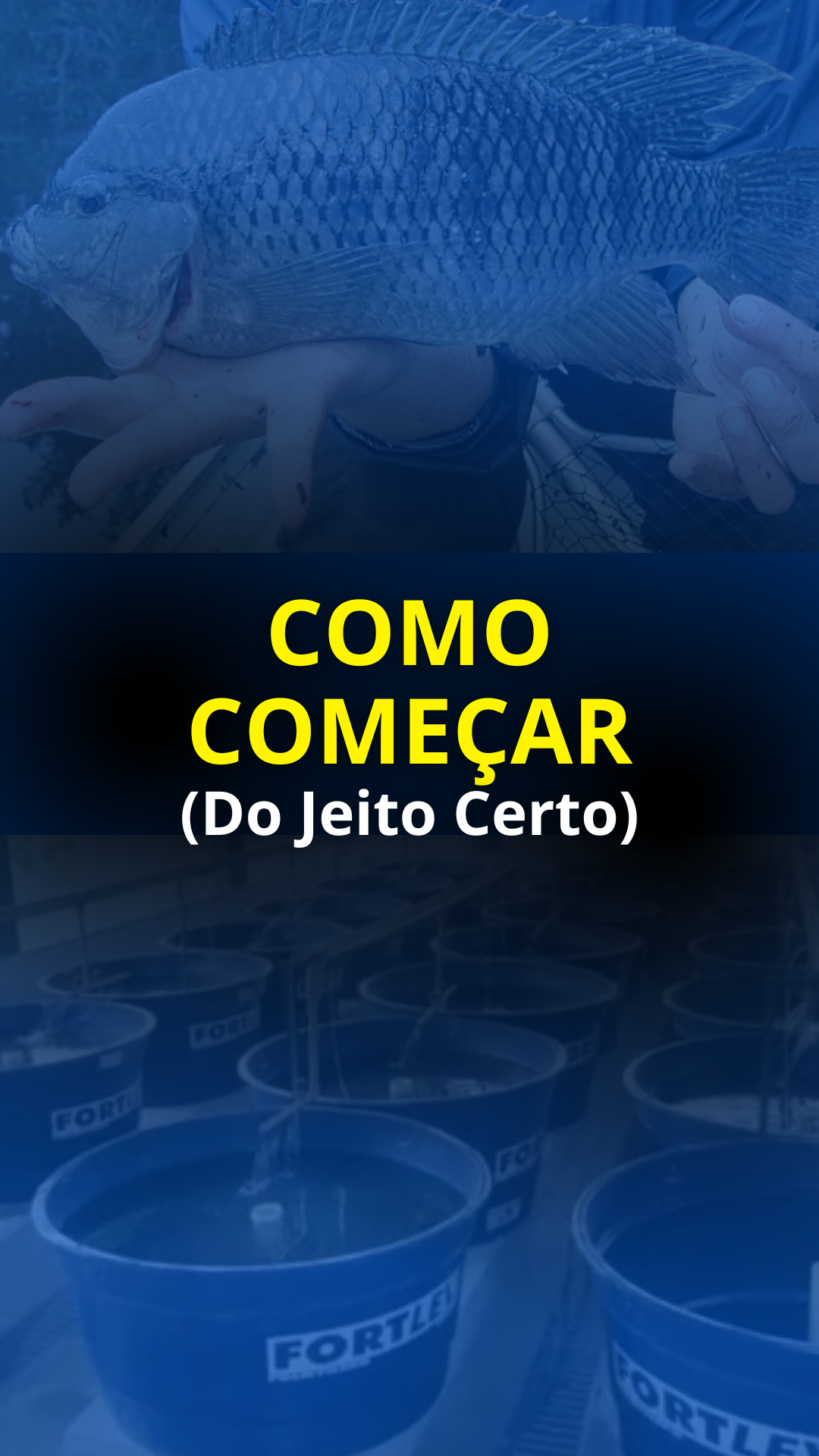 Módulo 2