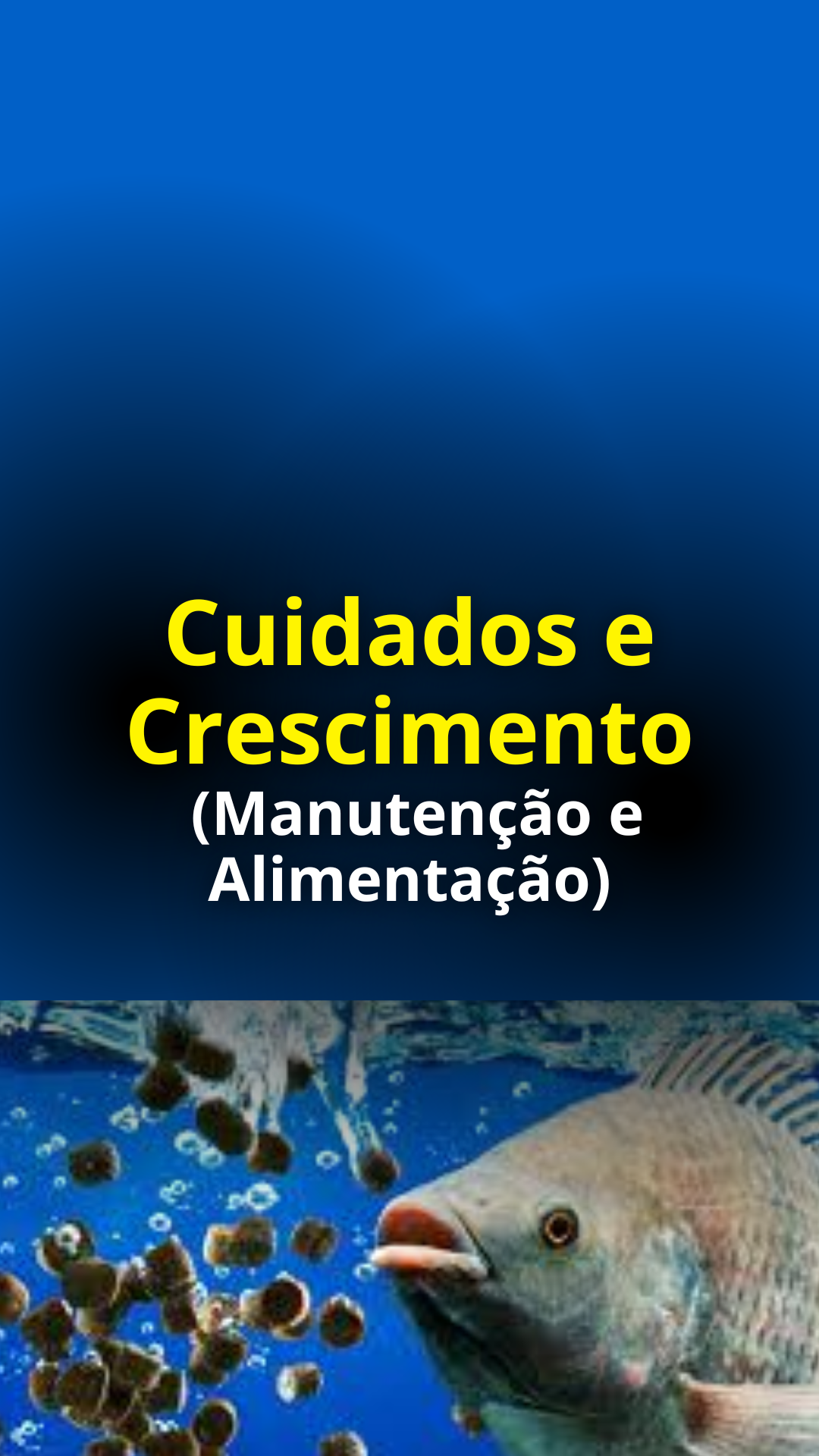 Módulo 3